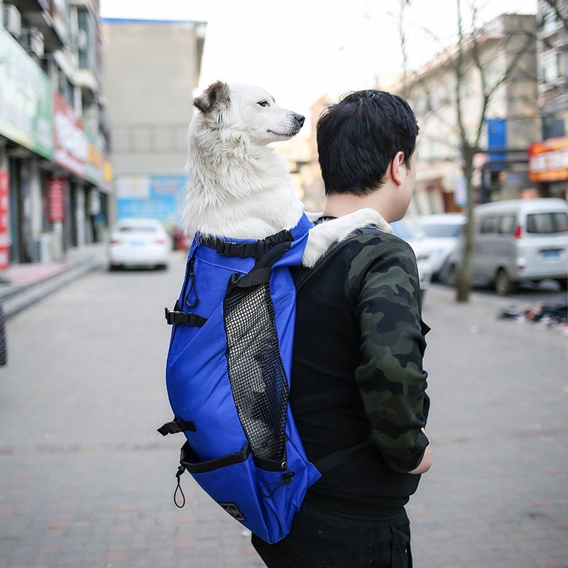 PawPack Travel Backpack Material: Polyester Capacity: 80 pattern: plain Hardness: Medium Whether the source of patent: No Specifications: red: color, blue, gray, black Color: S, M, L, XL Soft-Sided Carriers