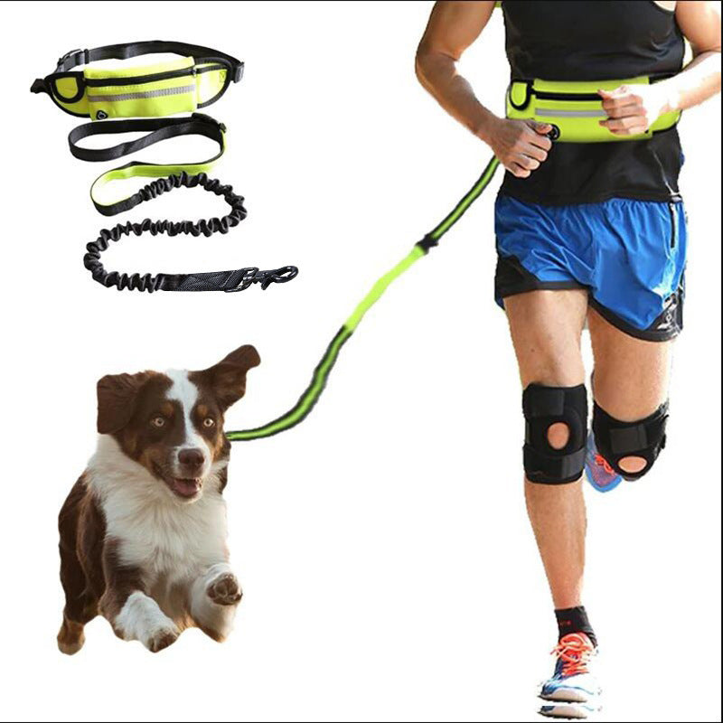 FreeStride Features: Adjustable buckle and strap design fit most waist sizes from 28” to 48”, with an Inner pocket for keys, cards, and other small accessories. Besides, there is an elastic strap fixed water bottle holder. 3 heavy-duty D rings connect to