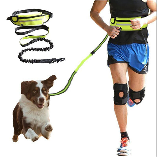 FreeStride Features: Adjustable buckle and strap design fit most waist sizes from 28” to 48”, with an Inner pocket for keys, cards, and other small accessories. Besides, there is an elastic strap fixed water bottle holder. 3 heavy-duty D rings connect to