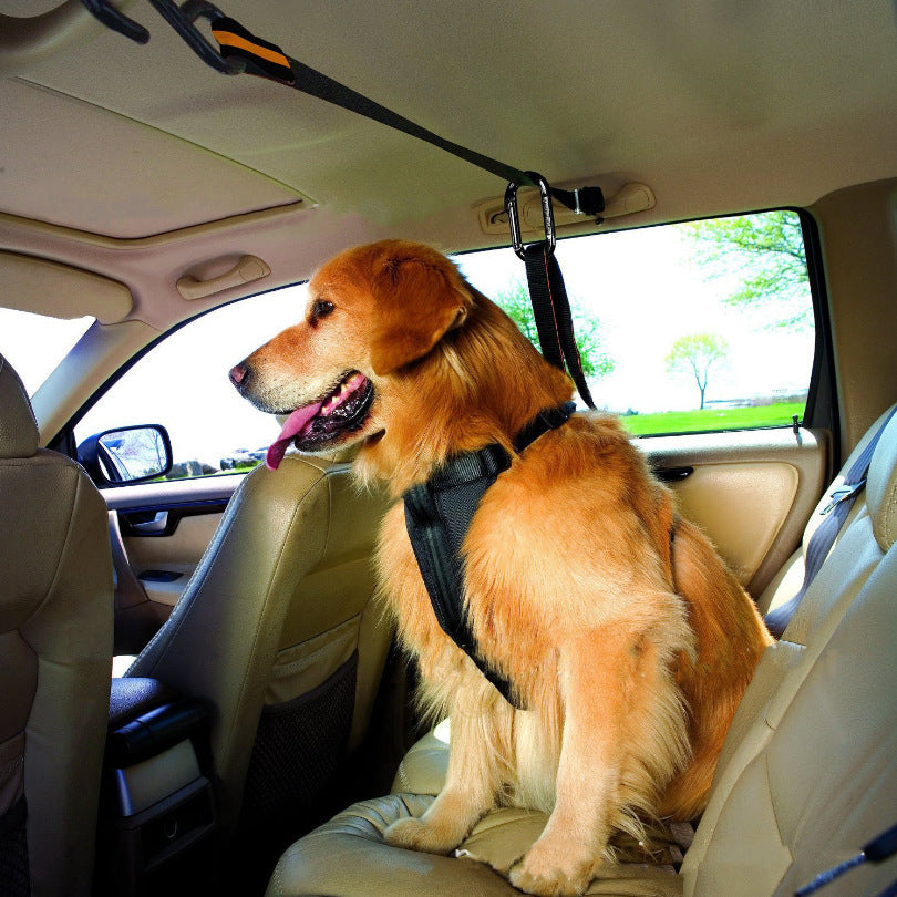 FurGo Pet Product information: Material: Nylon Product Category: Traction Belt Color: Orange Packing list: Traction Belt*1 Pet Leashes