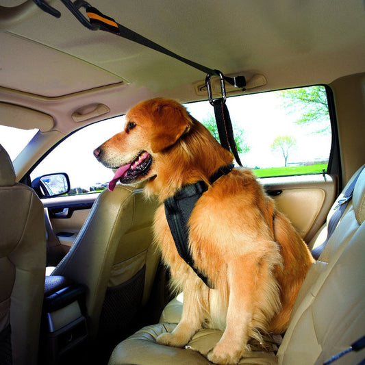 FurGo Pet Product information: Material: Nylon Product Category: Traction Belt Color: Orange Packing list: Traction Belt*1 Pet Leashes