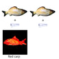 Simulated Flopping Fish – Fun Electric Toy for Cats (Catnip-Free) Overview: 1. With high quality material, this ornament is durable and not easy to damage. 2. This toy does not contain toxic and harmful things and materials, and it is healthy and safe for
