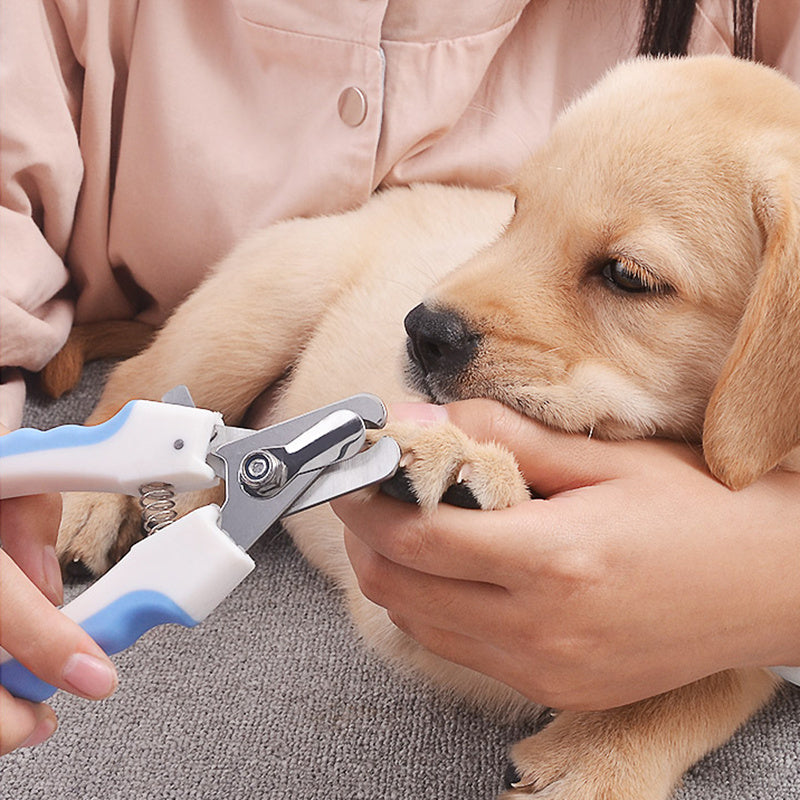 ClipMate Pet Nail Clippers Overview: 1. One-step cut: Pet nail clippers made of high-quality stainless steel sharp blades are strong enough to clamp the pet's nails quickly and cleanly with only one cut. The half-moon design is more suitable for pet nail