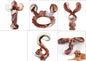 Heavy-Duty Nylon Chew Toy – Long-Lasting Fun for Dog Product information: Color: meat of rabbits beef flavor, squirrel beef flavor, cactus beef flavor, crab beef flavor, antlers beef flavor, tricerops beef flavor, Christmas deer beef flavor Material: Nylo