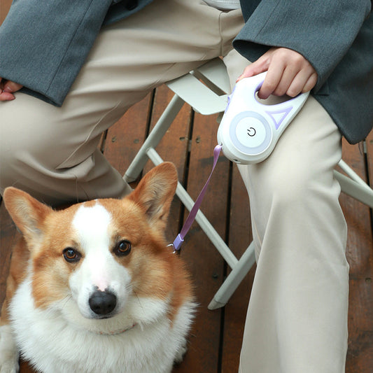 FlexiGlow Overview: 100% Brand New and Top Quality. Give your dog good reach and freedom of movement. This belt is suitable for Small medium / large Pets. One-handed braking and locking system keeps pets from moving forward. Telescopic design, the belt ca