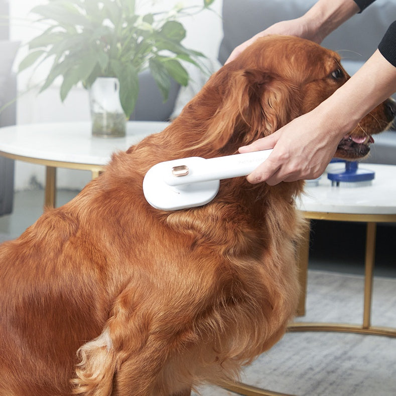 FurAway – Self-Cleaning Hair Removal Comb for Pets Say goodbye to loose fur and hello to a cleaner home with the FurAway™ Self-Cleaning Pet Hair Comb – designed to gently remove shedding hair while keeping your pet happy and healthy. Effortless Hair Remov