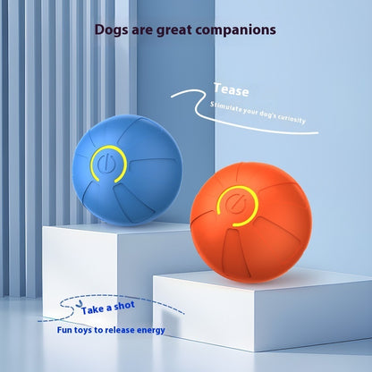 JumpGlow Bouncy Rubber Dog Ball – Durable, Colorful & Chew-Resistant Keep your dog active, happy, and healthy with this high-bounce rubber dog ball—specially designed for hours of fun and interactive play. Whether it’s fetch, chew time, or solo bouncing e