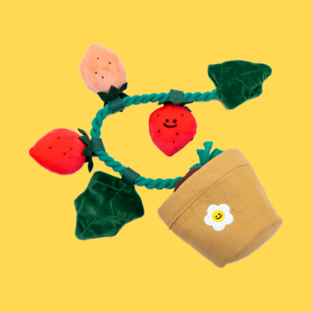 BerryPot™ – Sniff & Pull Dog Treat Toy Product information: Product category: Tibetan food toys Material: plush Product name: Strawberry potted plant set toy Size information: Packing list : Pet hidden food toys*1 Product picture: Dog Toys