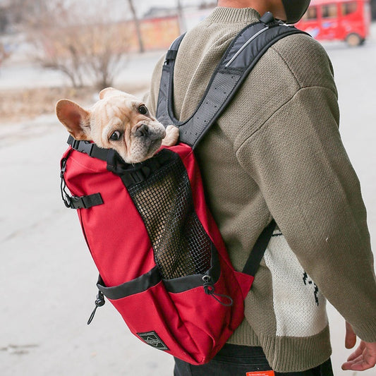 PawPack Travel Backpack Material: Polyester Capacity: 80 pattern: plain Hardness: Medium Whether the source of patent: No Specifications: red: color, blue, gray, black Color: S, M, L, XL Soft-Sided Carriers