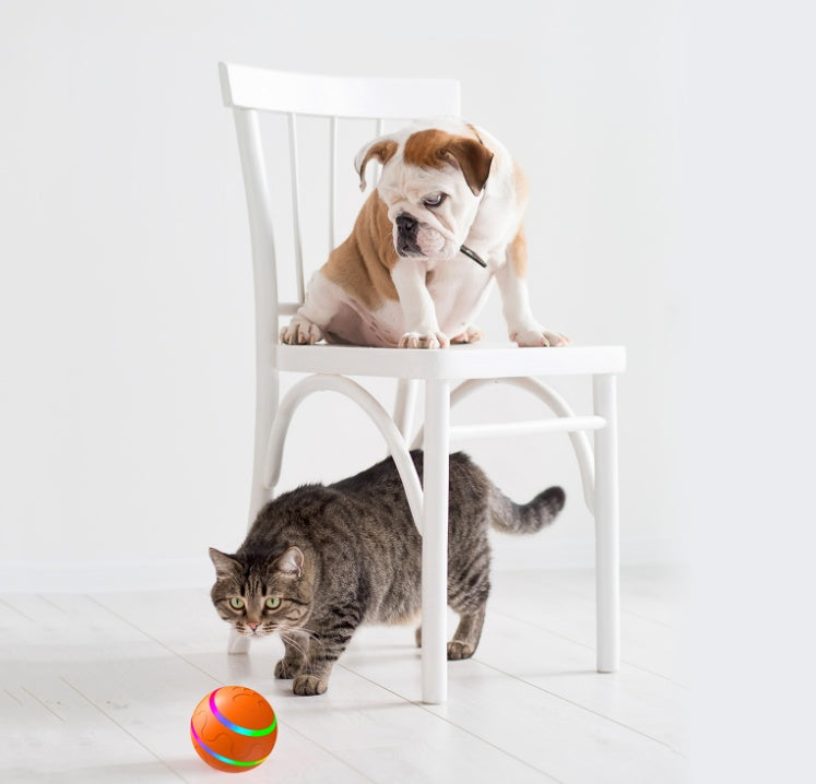 WickedWhirl™ Overview: 1. Made of high-quality material, the ball is eco-friendly and non-toxic, durable and scratch-resistant, and safe for your pets to bite and chew on. 2. It can roll around randomly and automatically change its direction so it is inte