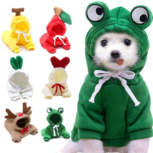 Winter Fleece Pet Hoodie – Adorable Fruit Design for Small Breeds Overview: 1. The material is soft and comfortable, enough to keep warm so that your pet looks more attractive and stylish! 2. Fruit design to make your puppy more cute, which will help redu