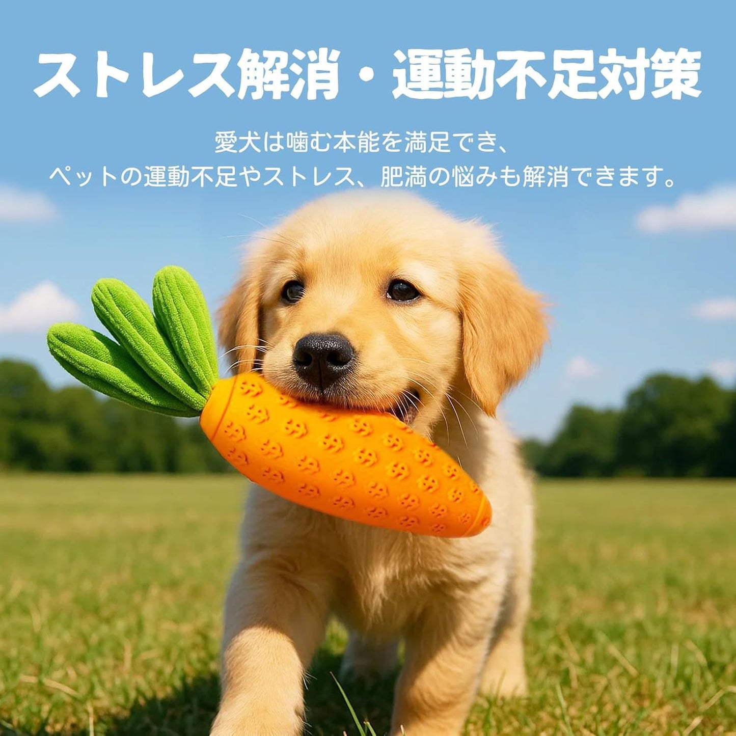 Aiweipai Dog Toy with Sound Paper, Carrot-Shaped Chew Toy, Durable and Bite-Resistant, for Golden Retrievers, Corgis, and Other Pet Dogs