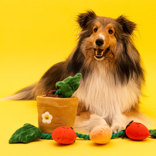 BerryPot™ – Sniff & Pull Dog Treat Toy Product information: Product category: Tibetan food toys Material: plush Product name: Strawberry potted plant set toy Size information: Packing list : Pet hidden food toys*1 Product picture: Dog Toys