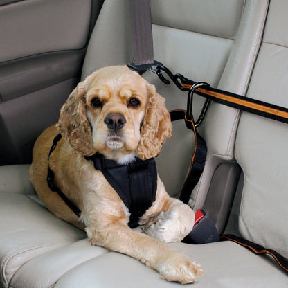 FurGo Pet Product information: Material: Nylon Product Category: Traction Belt Color: Orange Packing list: Traction Belt*1 Pet Leashes