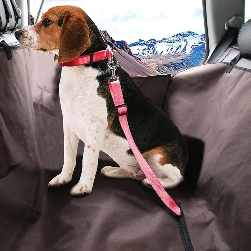 PawTether Dog Leash Product description: This product is a dog dog fixing belt / seat belt for cars, 2.5cm wide, the length of the fixing belt can be adjusted, and one end of the fixing belt can be fixed on the car seat belt. A collar that can hold the do