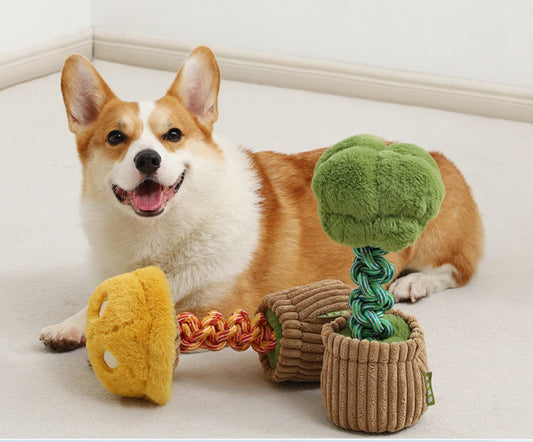 Bite-Resistant Rope Toy – Strong & Fun Dog Teether Product information: Color: [mushroom bend and hitches | Yellow coffee],[broccoli bend and hitches | Green coffee]] Material: Polyester Category: Pet Toys West Blue Flower Knot Toy: 30 * 13cm Mushroom kno
