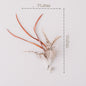 Interactive Cat Wand – Detachable Rod & Sucker Toy Product information: Material: feathers, hardware accessories, suction cups, PVC rods, steel wires Style: simple and stylish Features: funny cat Colour: Picture color Packing list: Funny cat stick*1 Produ