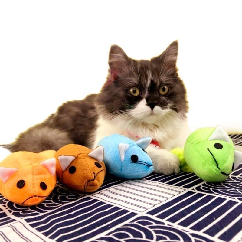 PounceTail™ – Fun & Engaging Cat Mouse Toy Overview: Good material, High quality. 100% Brand New. A variety of colors, any choice. Specifications: Product information: The mouse comes with a mint refill Product color: green/blue/orange/coffee Suitable for