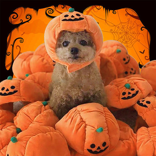 PawPumpkin Product information: Material: Polyester Suitable for the season: four seasons Color: pumpkin Size: Large size 42cm in length, small size 37cm in length Packing list: Dog hat x1 Pet Jackets