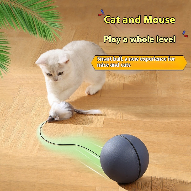 ChaseMate Overview: [Durable And Safe] - Made of ABS and plush materials to ensure pet health and safety. [Mouse Design] - Comes with a plush mouse to stimulate the cat's hunting nature, improving curiosity and increasing interaction. [Stress Reduction] -