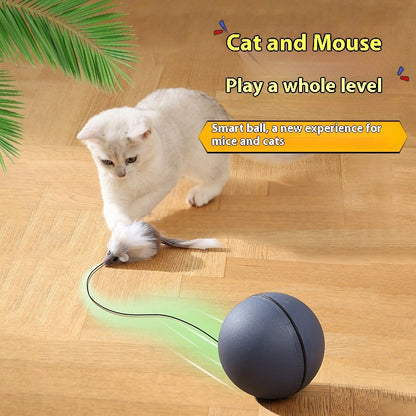 ChaseMate Overview: [Durable And Safe] - Made of ABS and plush materials to ensure pet health and safety. [Mouse Design] - Comes with a plush mouse to stimulate the cat's hunting nature, improving curiosity and increasing interaction. [Stress Reduction] -