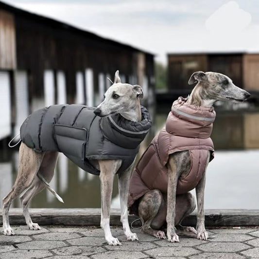 CozyCore™ Cotton Dog Coat Product information: Color: Dark gray, pink For: dogs Material: 100% recycled polyester Size Information: Size: S/M/L/XL Packing list: 1* Waistcoat Product Image: Pet Coats