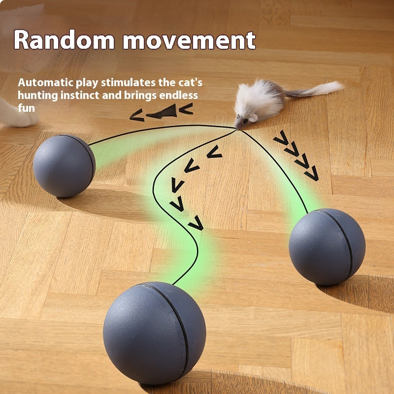 ChaseMate Overview: [Durable And Safe] - Made of ABS and plush materials to ensure pet health and safety. [Mouse Design] - Comes with a plush mouse to stimulate the cat's hunting nature, improving curiosity and increasing interaction. [Stress Reduction] -