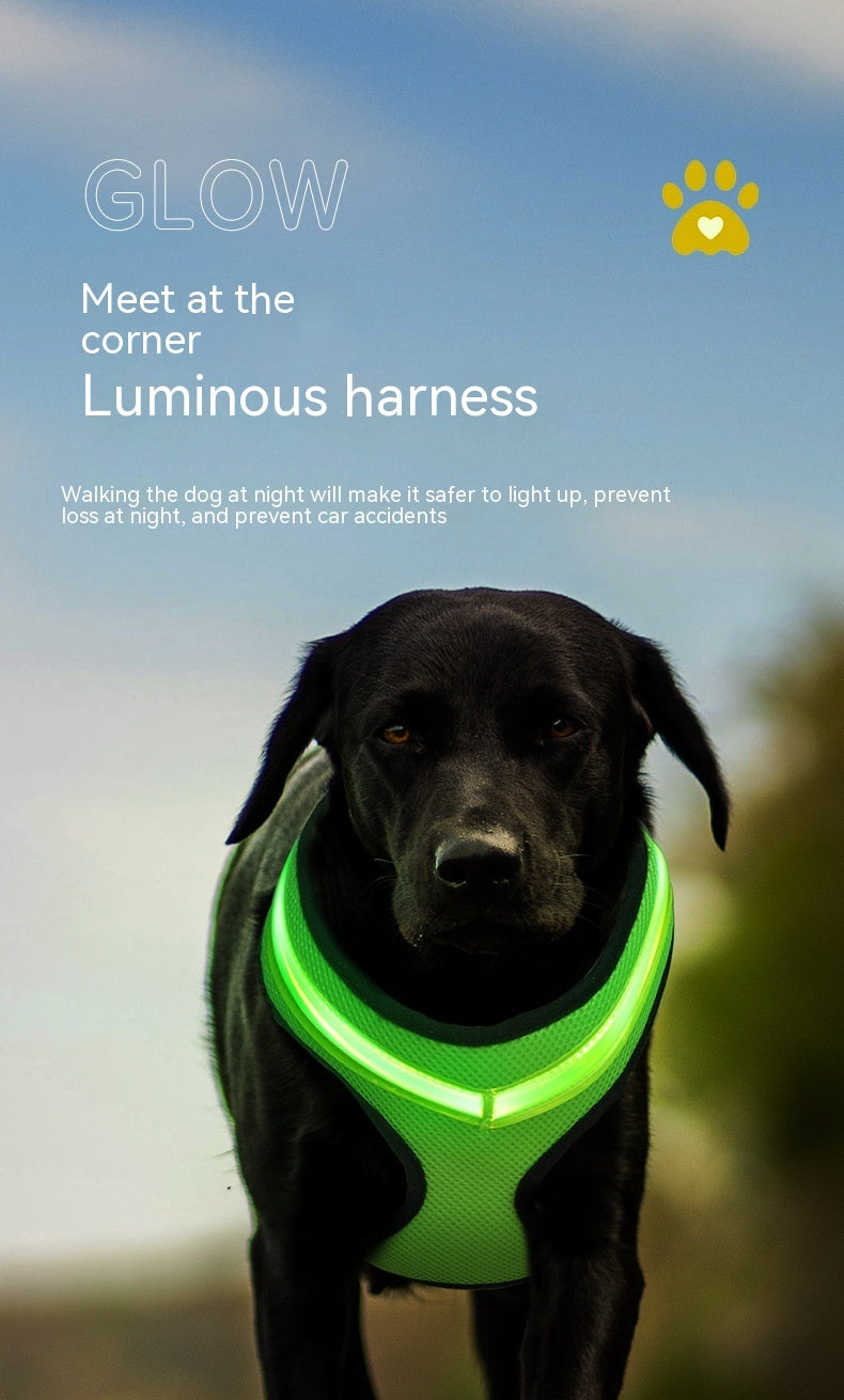 GlowGuard LED Harness Overview: 1. Charging, USB data cable can be directly charged, lasting, long standby. Don't worry about the battery without electricity, frequent buying batteries. 2. There are many styles, multiple colors for you to choose, fashion