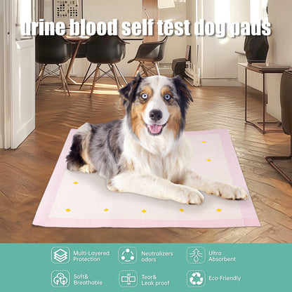 PeeSense Dog Pad Packaging list: Urine pad x10pc (1Box) Dog Diaper Pads & Liners