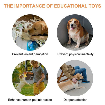 Recordable Pet Talking Buttons – 4 Colors, Fun & Easy Communication Overview: Durable Material: This dog communicator is made of high-quality ABS plastic material, which is environmentally friendly and durable, and you can use it for a long time. Easy to