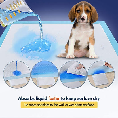 DryPaw Dog Product information: [Portrait]: Super absorbent core that turns liquid into gel on contact Waterproof with plastic liner to prevent damage to floors Quick-drying surface with integrated attractant Great for training puppies, helping senior dog
