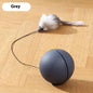 ChaseMate Overview: [Durable And Safe] - Made of ABS and plush materials to ensure pet health and safety. [Mouse Design] - Comes with a plush mouse to stimulate the cat's hunting nature, improving curiosity and increasing interaction. [Stress Reduction] -