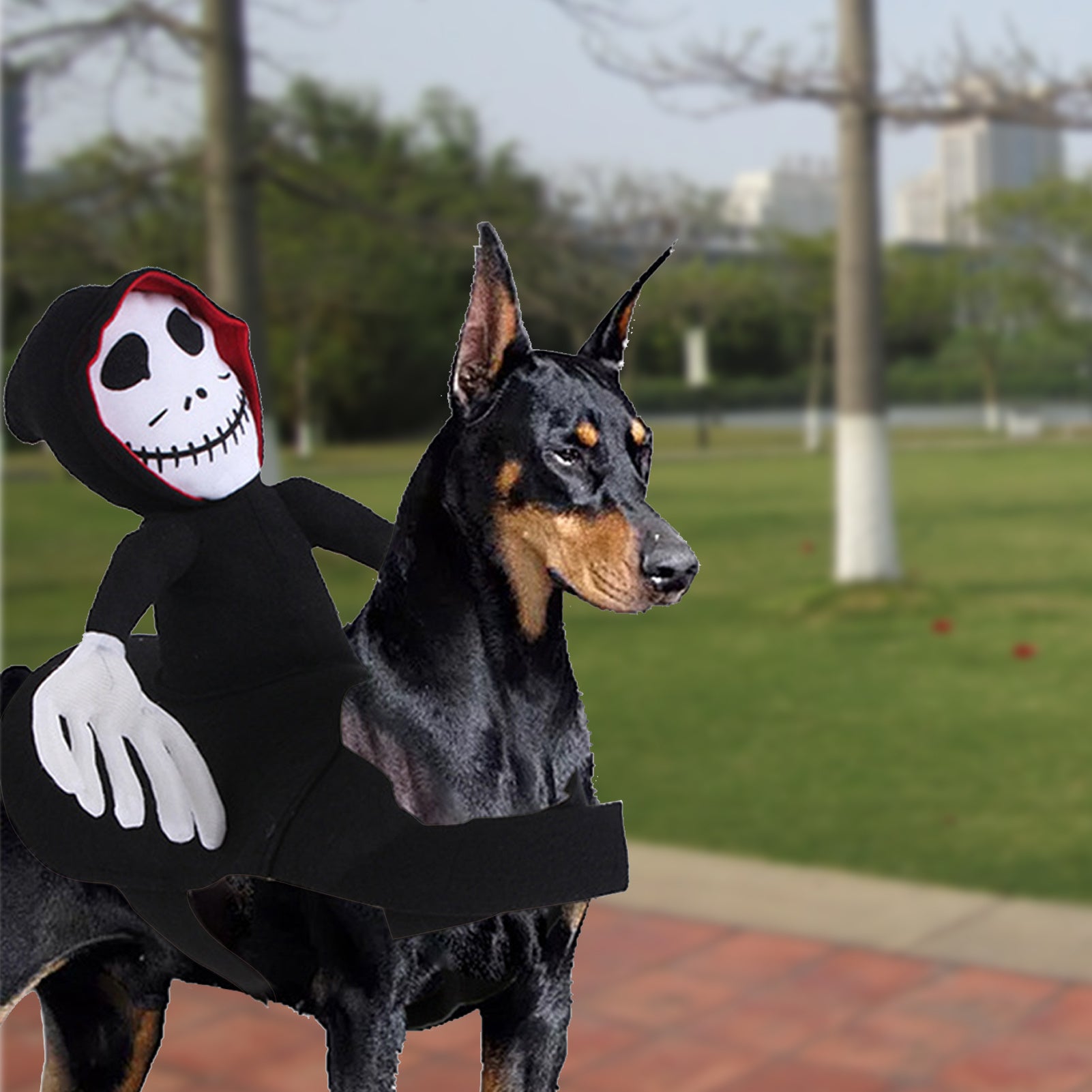SpookyPaws™ Halloween Vest Overview: Unique and vivid design: The super realistic Horror mask is an excellent Halloween cosplay accessory. When pets wear this costume, they become cool and look scary, but also fun. Let your pet join the party and be the s
