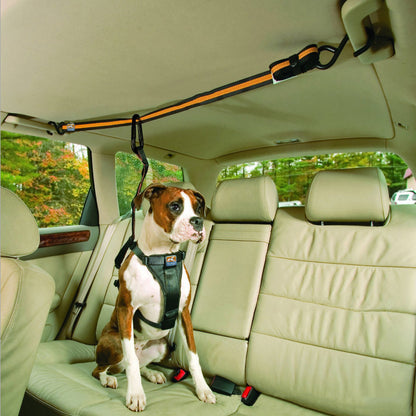 FurGo Pet Product information: Material: Nylon Product Category: Traction Belt Color: Orange Packing list: Traction Belt*1 Pet Leashes