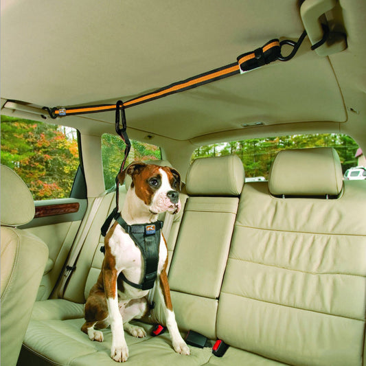 FurGo Pet Product information: Material: Nylon Product Category: Traction Belt Color: Orange Packing list: Traction Belt*1 Pet Leashes