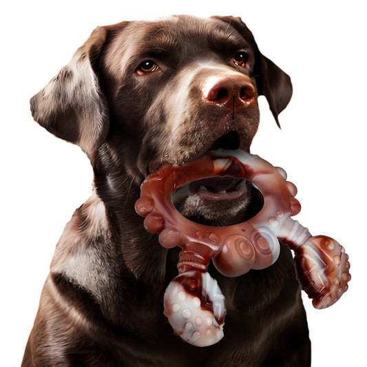 Heavy-Duty Nylon Chew Toy – Long-Lasting Fun for Dog Product information: Color: meat of rabbits beef flavor, squirrel beef flavor, cactus beef flavor, crab beef flavor, antlers beef flavor, tricerops beef flavor, Christmas deer beef flavor Material: Nylo