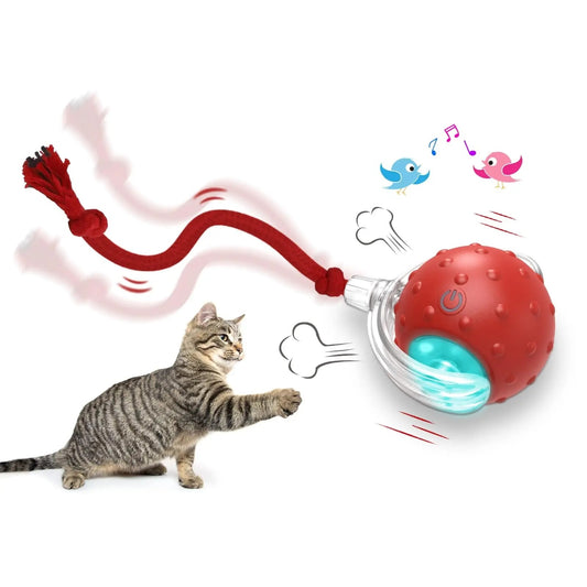Interactive Cat Toy Ball Super Drive Cat Rolling Ball Overview: Strong driver - The cat toys could easily go across from ceramic tile, wooden, low rugs even high pile carpet, It rarely get stuck in corners, helping you entertain a high-energy cat for hour