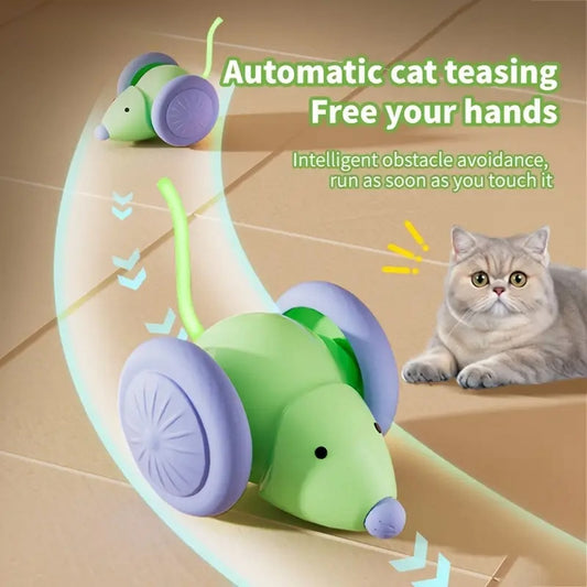 SmartMouse Overview: Good material, High quality. 100% Brand New. Product information: Color: green, white Material: ABS TPU Category: Pet Toys Packing list: 1* Cat Toy Product Image: Interactive Toys