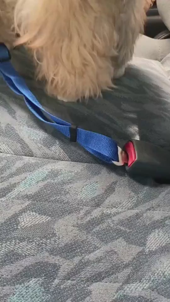 SafeRide Overview: Keep you and your dog/cat safe while driving. The pet can sit, lay or stand comfortably in the car. Made of high-quality nylon fabric to ensure safety, features the solid zinc alloy swivel snap and metal buckles guarantee extra durabili