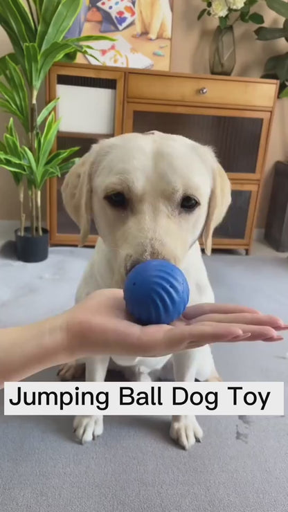 SnackSmart™ Smart Bouncing Dog Ball – Fun, Exercise & Mental Stimulation in One! Keep your pup entertained and active with our Smart Jumping Ball for Dogs – the ultimate boredom buster that combines interactive play, safe materials, and vibrant colors to
