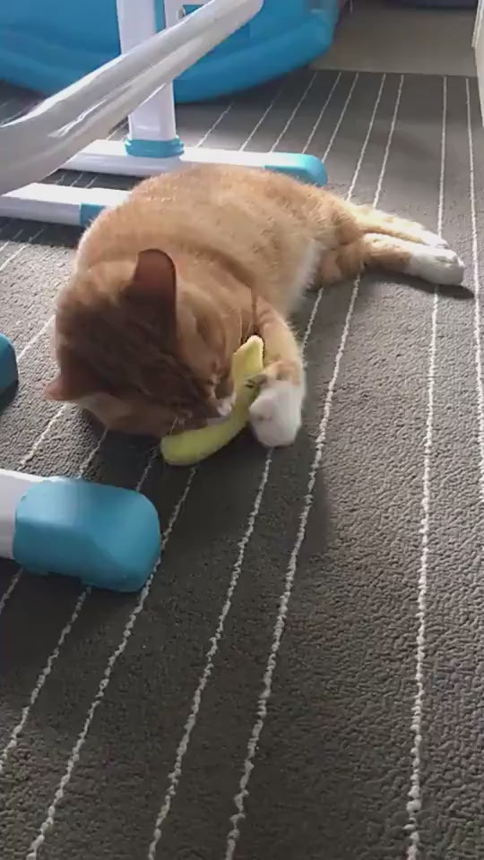 WhiskerPlush Product Information： Material: plush Product category: chew toys Color: orange, pink, gray, light blue, green, khaki Size: 5.5x16cm Package Contents： Cat toy X1 Chew Toys