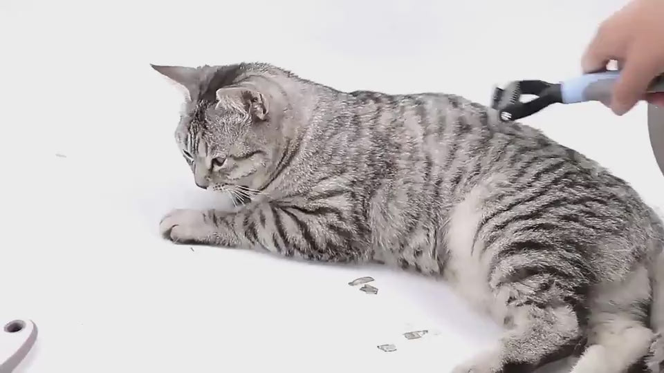 DualFur™ – 2-Sided Deshedding & Dematting Pet Comb Product Details： Dual-Sided Design: Start with 9 teeth side for stubborn mats and tangles and finish with 17 teeth side for thinning and de-shedding. Achieve faster and more professional de-matting and gr