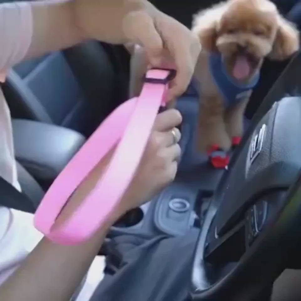 SafeRide Overview: Keep you and your dog/cat safe while driving. The pet can sit, lay or stand comfortably in the car. Made of high-quality nylon fabric to ensure safety, features the solid zinc alloy swivel snap and metal buckles guarantee extra durabili