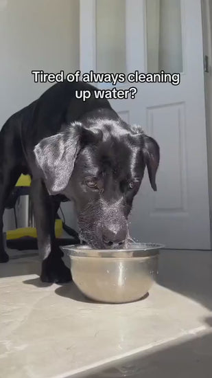 SpillSafe Pet Feeder Overview: 1.Extreme Large Capacity: With the dimension 8.8 x 7.2 x 2 inches, the bowl has a pretty large and practical capacity, about 35oz in total, which is enough for dogs to drink a whole day. 2.Double Anti-spill: The waterproof e