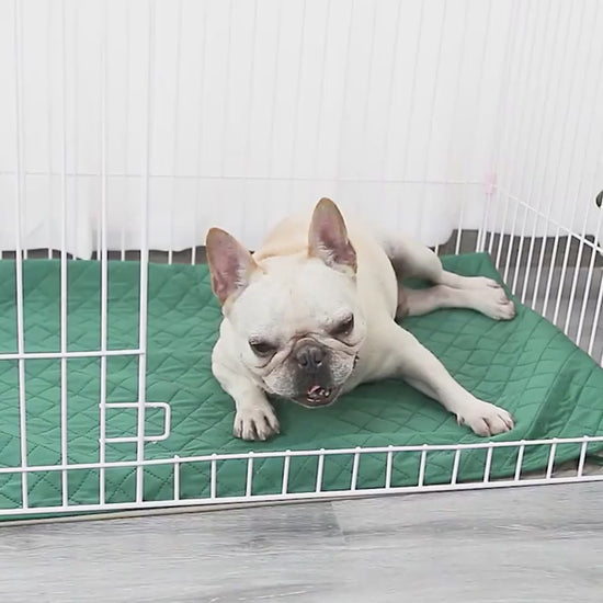 BambooPaw™ Training Pad Overview: This cooling mat is lightweight and easy to fold up for carry, good for using indoors, outdoors and traveling. Putting the mat on the floor, sofa, pet bad, car seat, lawn and anywhere outside under the shadow is perfect.