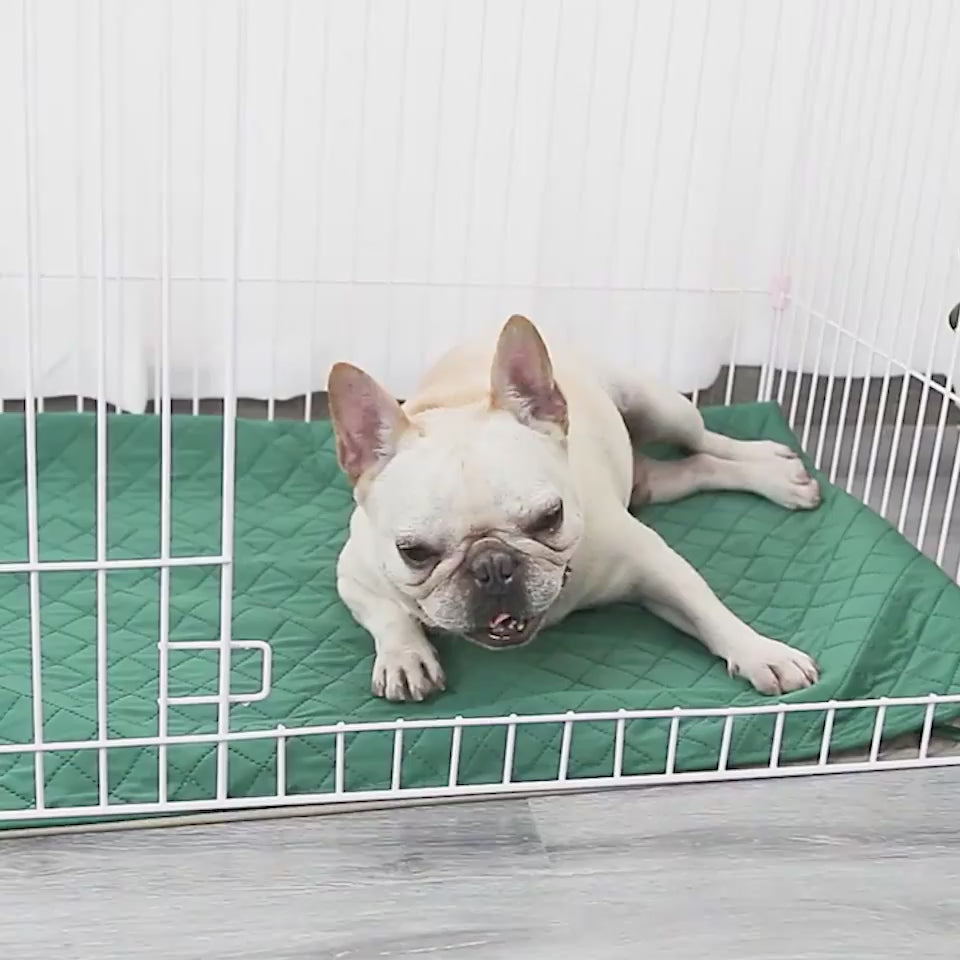 BambooPaw™ Training Pad Overview: This cooling mat is lightweight and easy to fold up for carry, good for using indoors, outdoors and traveling. Putting the mat on the floor, sofa, pet bad, car seat, lawn and anywhere outside under the shadow is perfect.
