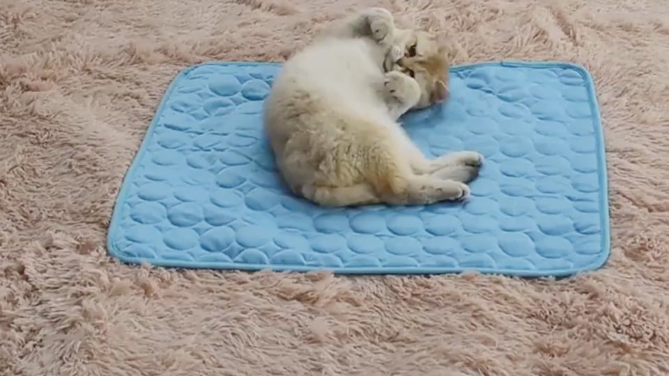 Cooling Ice Silk Pet Bed – Summer Nest for Dogs & Cats Overview: 1. Cool, comfortable, durable and pet-friendly 2. Provide instant cooling effect 3. Suitable for pets of all sizes 4. Use this simple and effective pet cooling pad to help your pet withstand