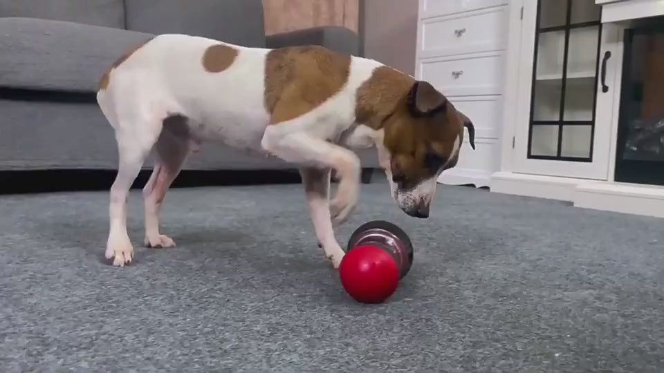 TreatTumbler Overview: DURABLE MATERIAL & THICKENED LARGE BARN - To ensure long-term use and pet health and safety, both ends of the dumbbell treat dispensing dog toy and dog treat dispenser toy are made of durable non-toxic nylon. And we thickened and en