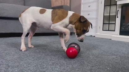 TreatTumbler Overview: DURABLE MATERIAL & THICKENED LARGE BARN - To ensure long-term use and pet health and safety, both ends of the dumbbell treat dispensing dog toy and dog treat dispenser toy are made of durable non-toxic nylon. And we thickened and en