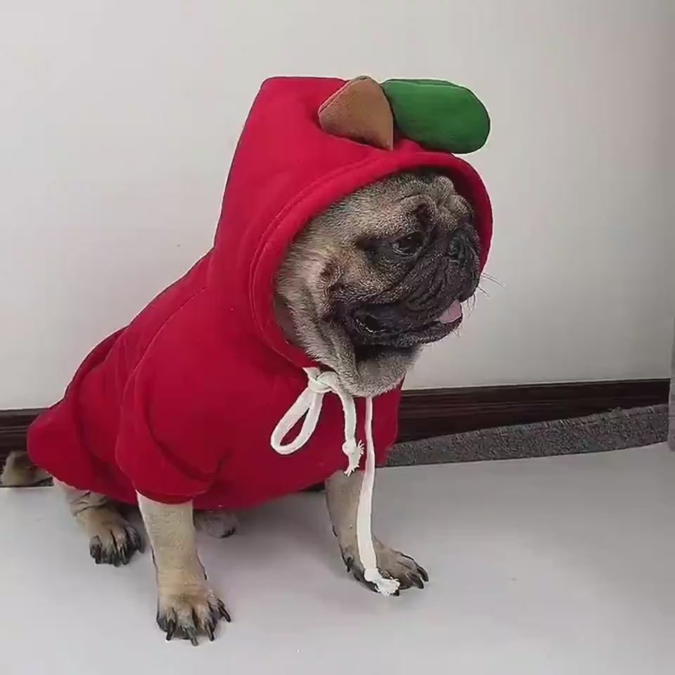 Winter Fleece Pet Hoodie – Adorable Fruit Design for Small Breeds Overview: 1. The material is soft and comfortable, enough to keep warm so that your pet looks more attractive and stylish! 2. Fruit design to make your puppy more cute, which will help redu
